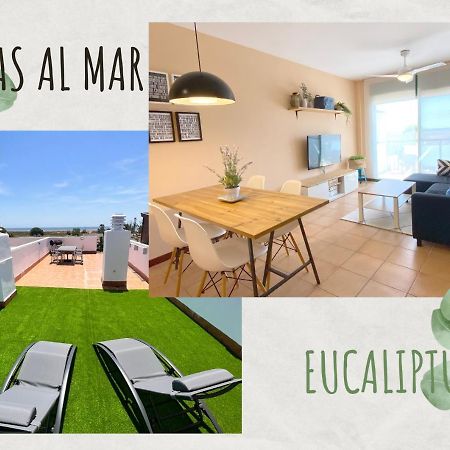Vistas Al Mar Playa Eucaliptus, Con Solarium Privado Daire L'Eucaliptus Dış mekan fotoğraf